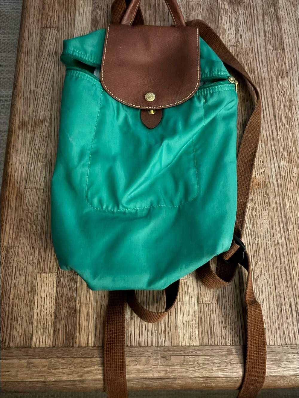 Longchamp Mini Green Backpack with Brown Leather Flap
